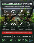 Six-Plant Live Freshwater Aquarium Bundle product image 7