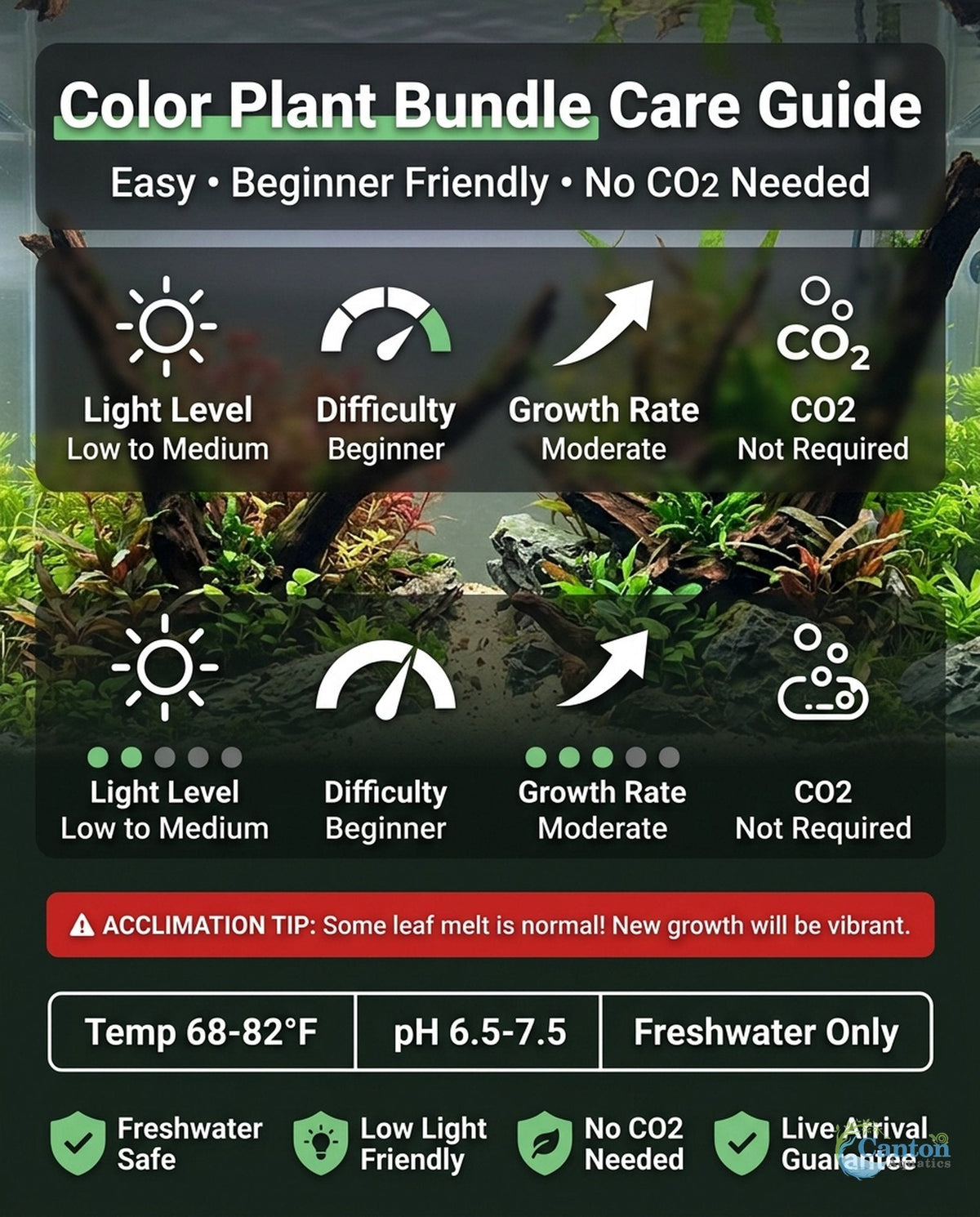 Six-Plant Live Freshwater Aquarium Bundle product image 7