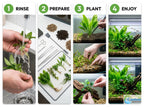 Aquarium Plant Bundle product image 5