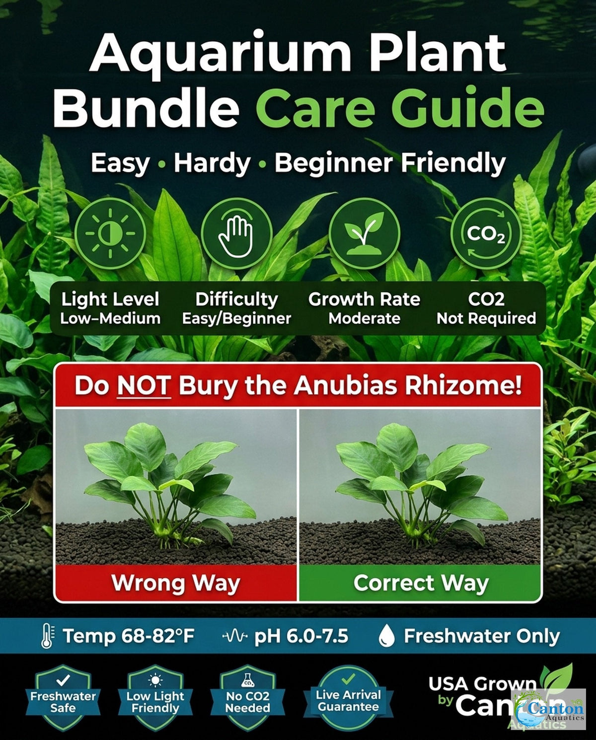 Aquarium Plant Bundle product image 9