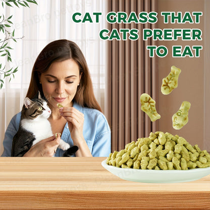 Catnip Cat Treats 150g – Catnip Cookie & Catgrass Molar Stick, Dried Fish Snack for Cats, Teeth Cleaning Dental Chew, Hairball Control Nutrition Fattening Cat Snack