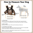 Dog Carrier Backpack for Cool, Comfortable Walks, Travel and Hiking with Four-Leg-Out Airflow