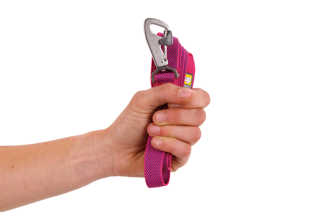 Hands-Free Dog Leash product image 48