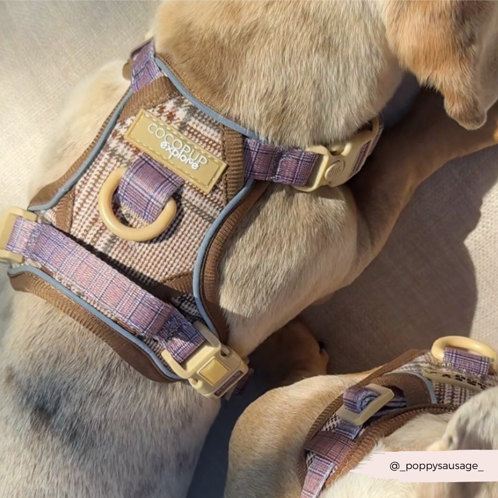 Dog Walking Harness product image 11