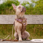 Dog Walking Harness product image 12