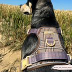 Dog Walking Harness product image 18