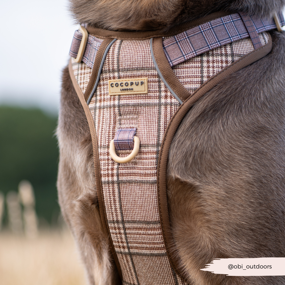 Dog Walking Harness product image 24