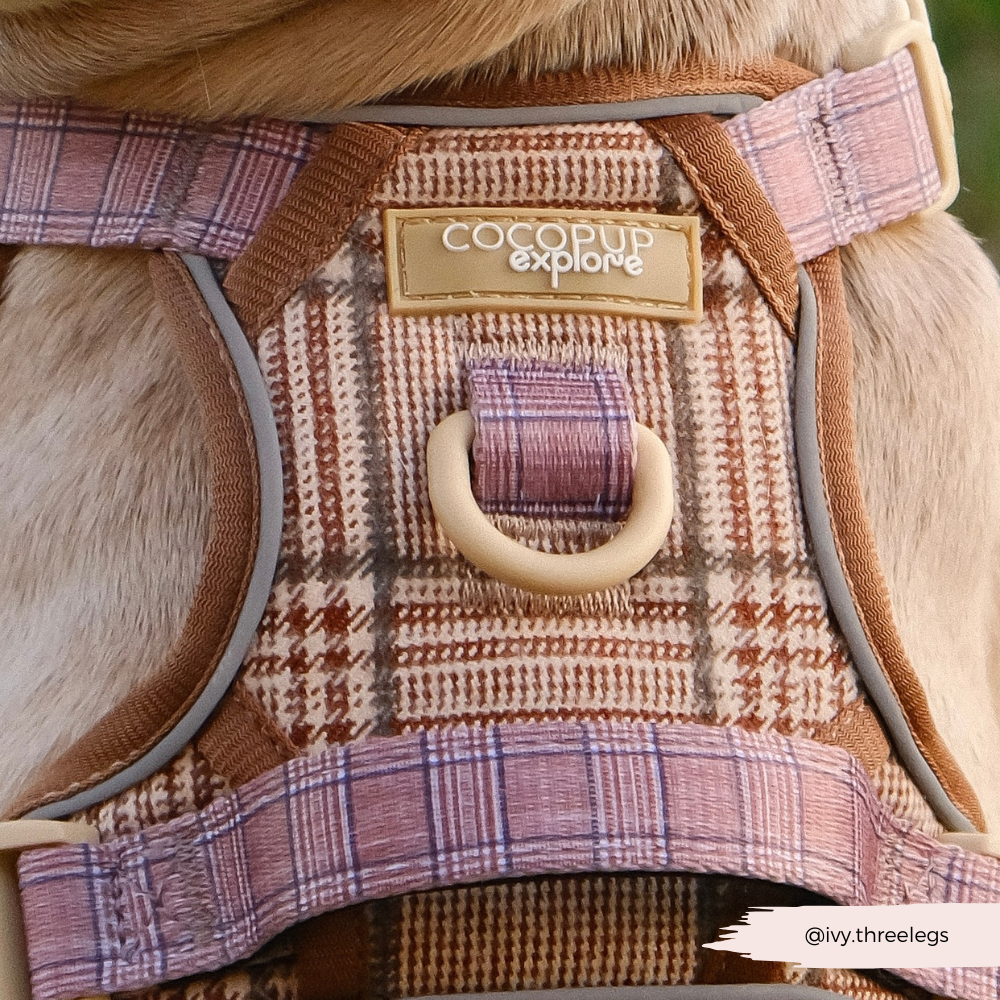Dog Walking Harness product image 25