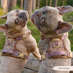 Dog Walking Harness product image 26