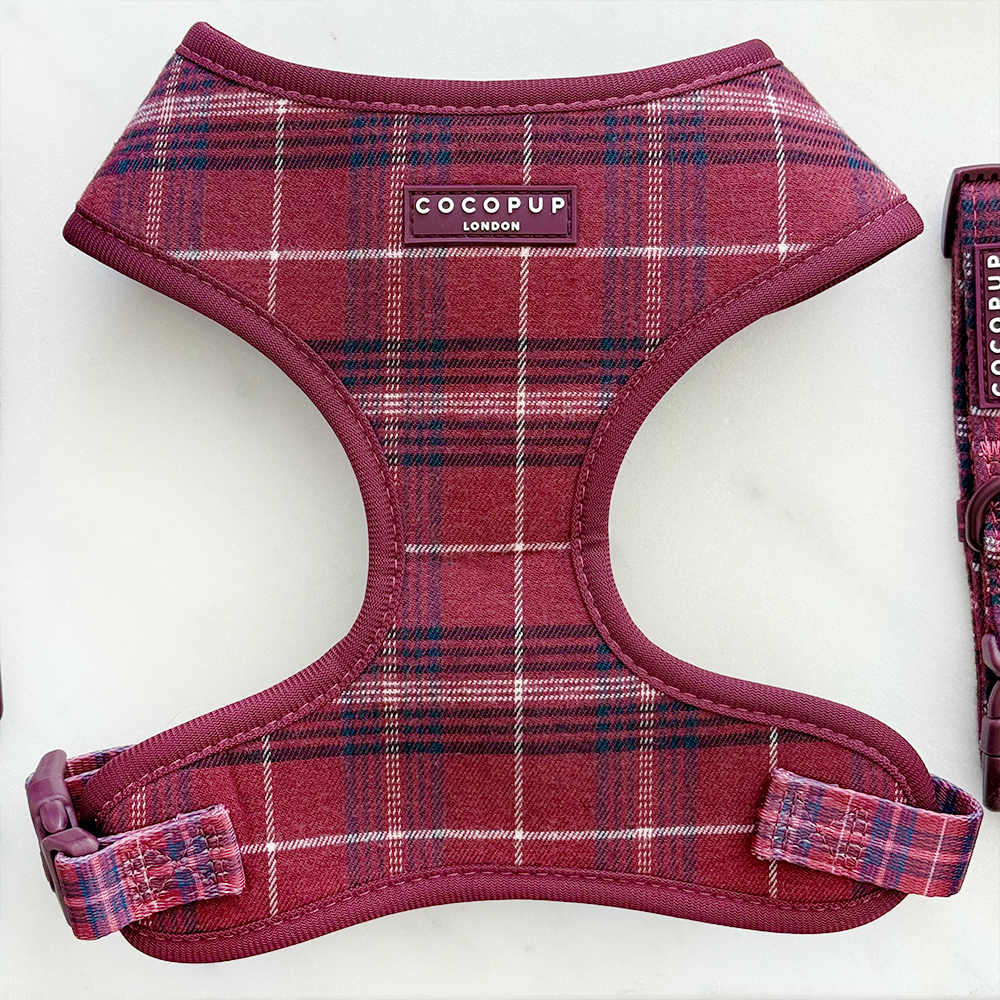 Adjustable Dog Harness product image 1