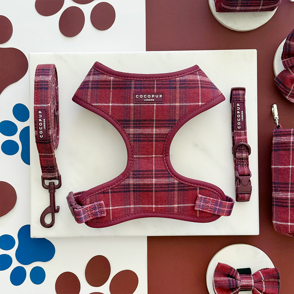 Adjustable Dog Harness product image 4