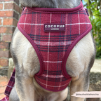 Adjustable Dog Harness product image 5