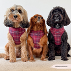 Adjustable Dog Harness product image 8