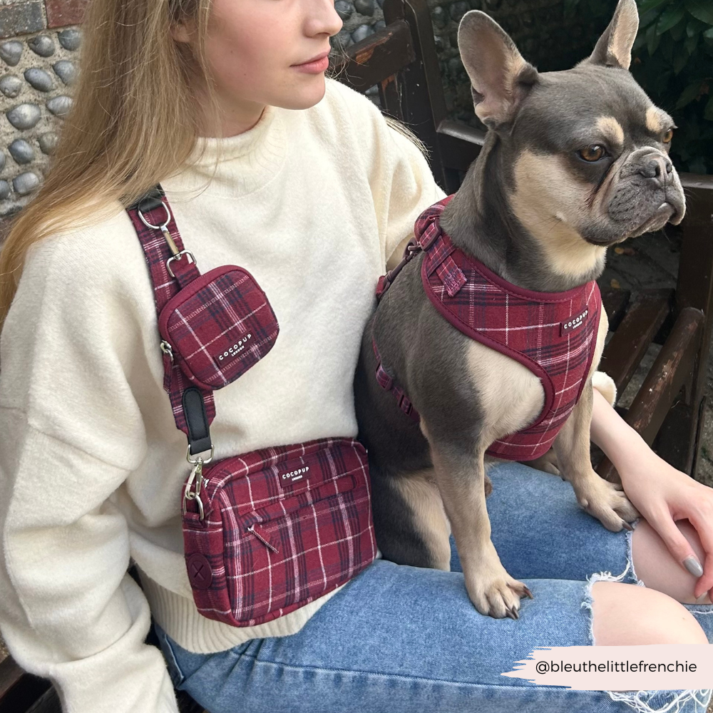 Adjustable Dog Harness product image 11