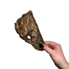 Beef Lung Treats product image 1