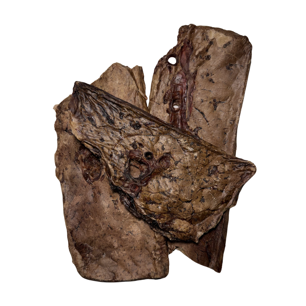 Beef Lung Treats product image 2