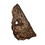 Beef Lung Treats product image 3