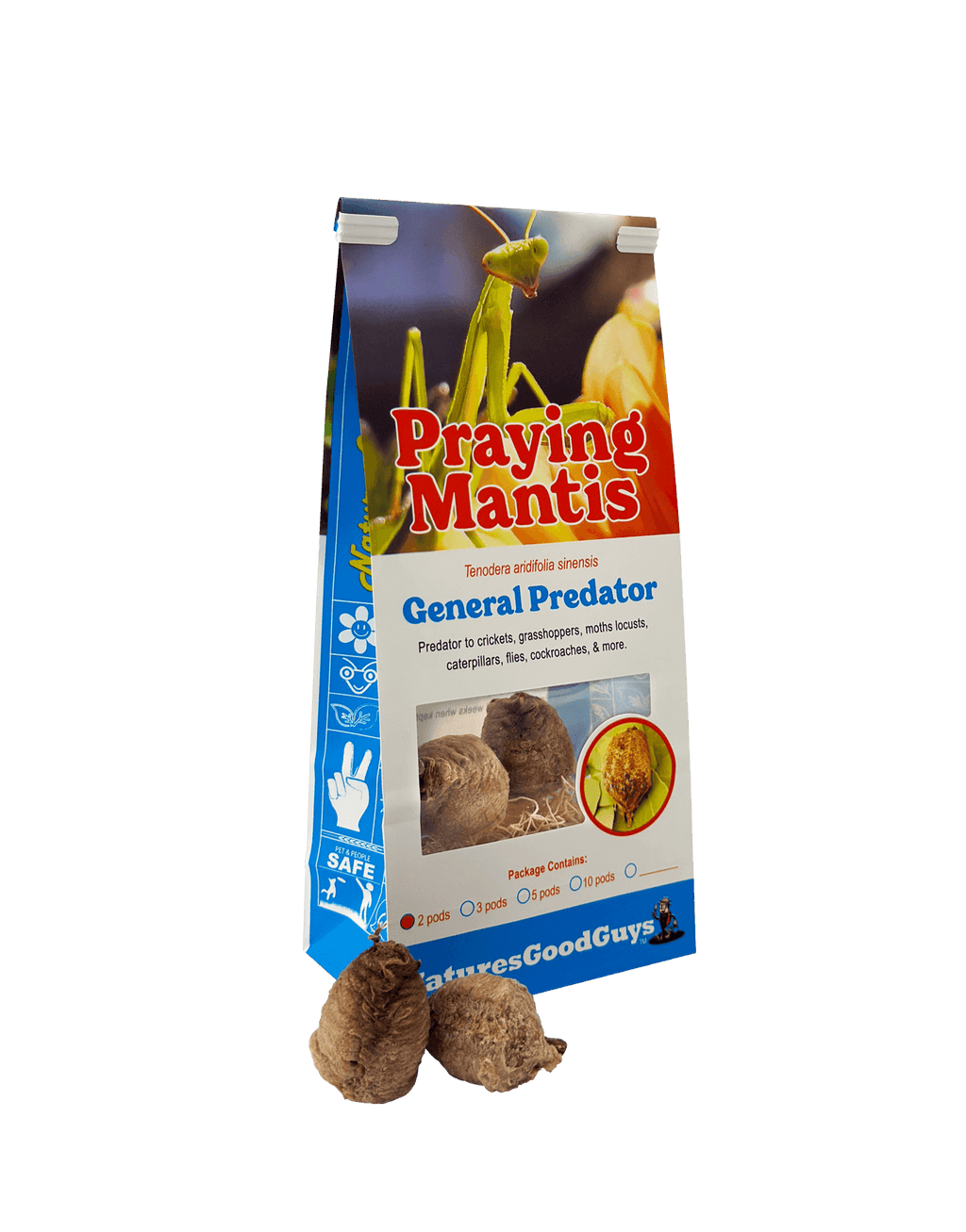 Praying Mantis Egg Cases product image 7