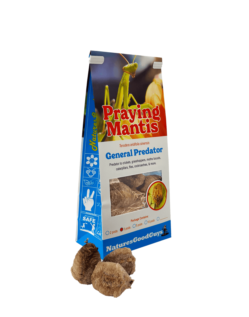Praying Mantis Egg Cases product image 8
