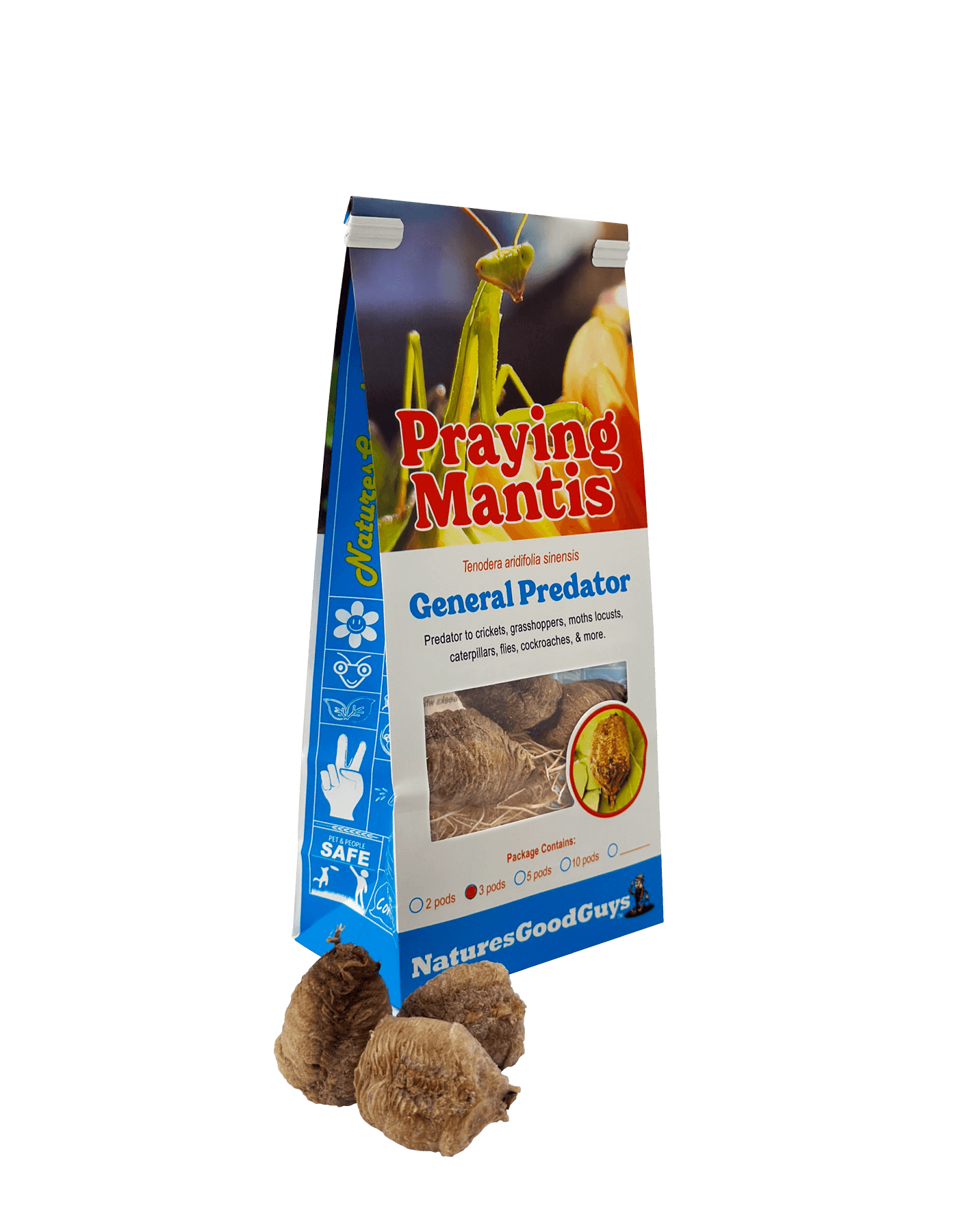 Praying Mantis Egg Cases 3 Egg Cases in Bag / No Ladybugs