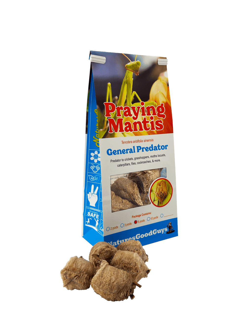 Praying Mantis Egg Cases product image 9