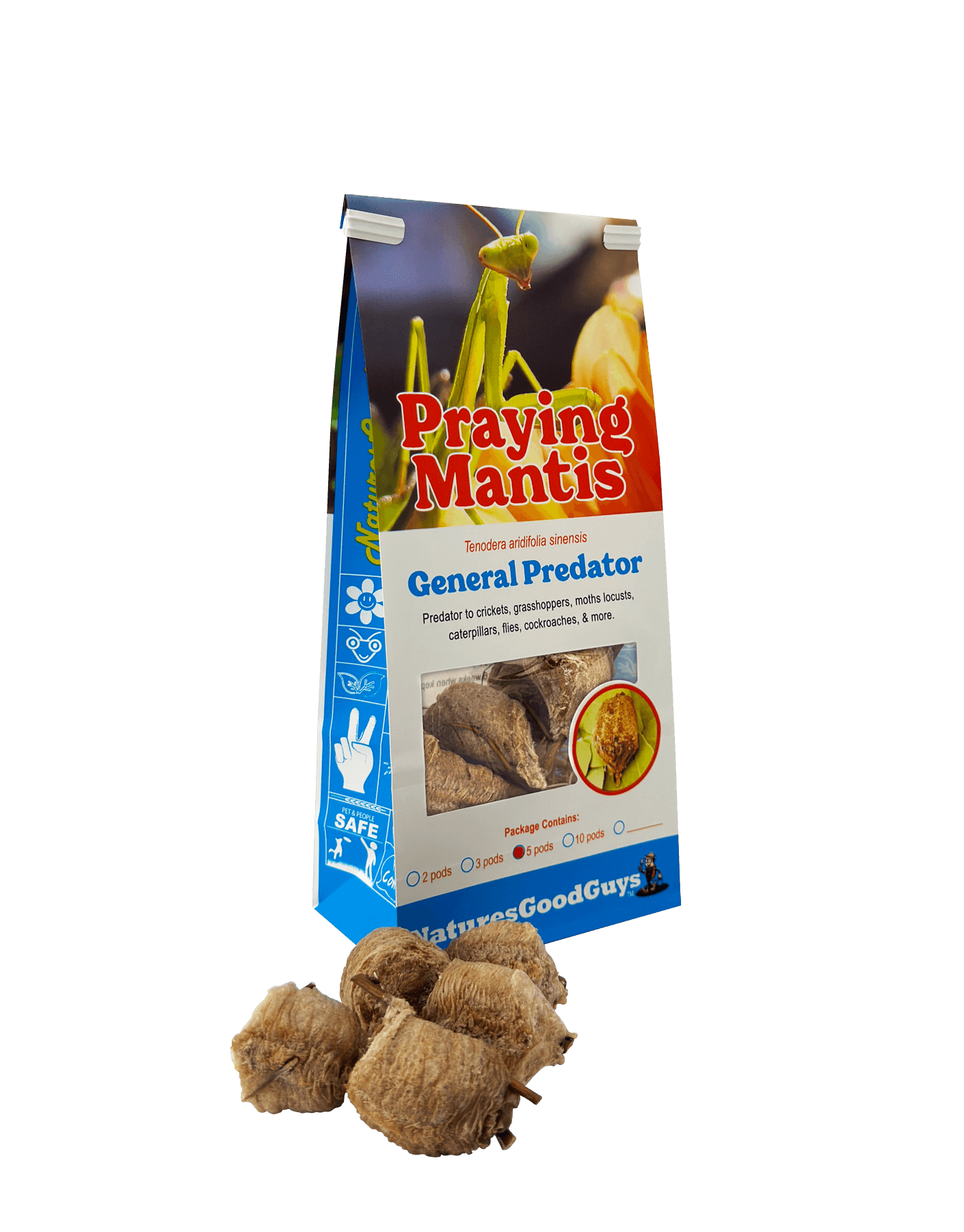 Praying Mantis Egg Cases 5 Egg Cases in Bag / No Ladybugs