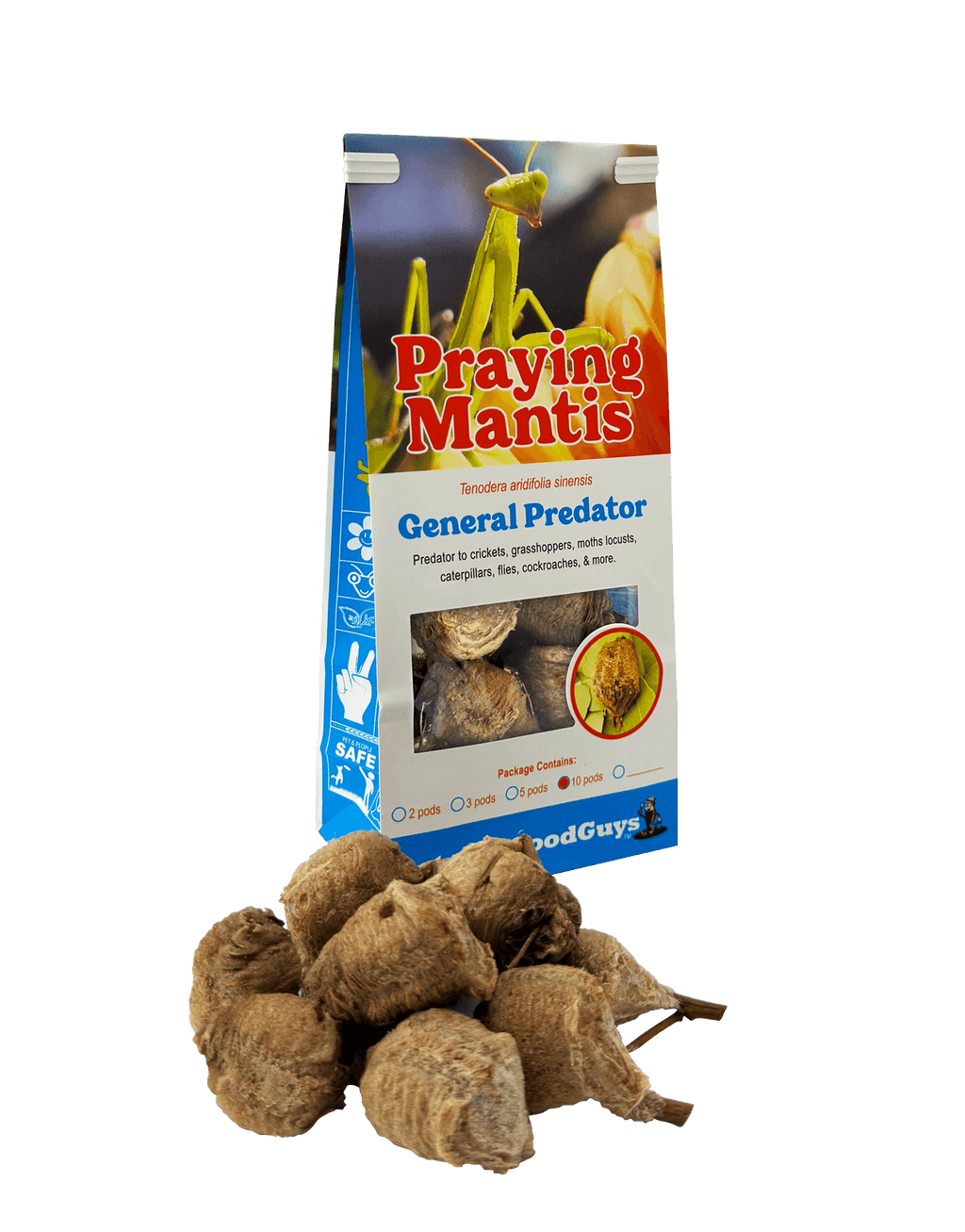 Praying Mantis Egg Cases product image 10