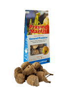 Praying Mantis Egg Cases product image 10