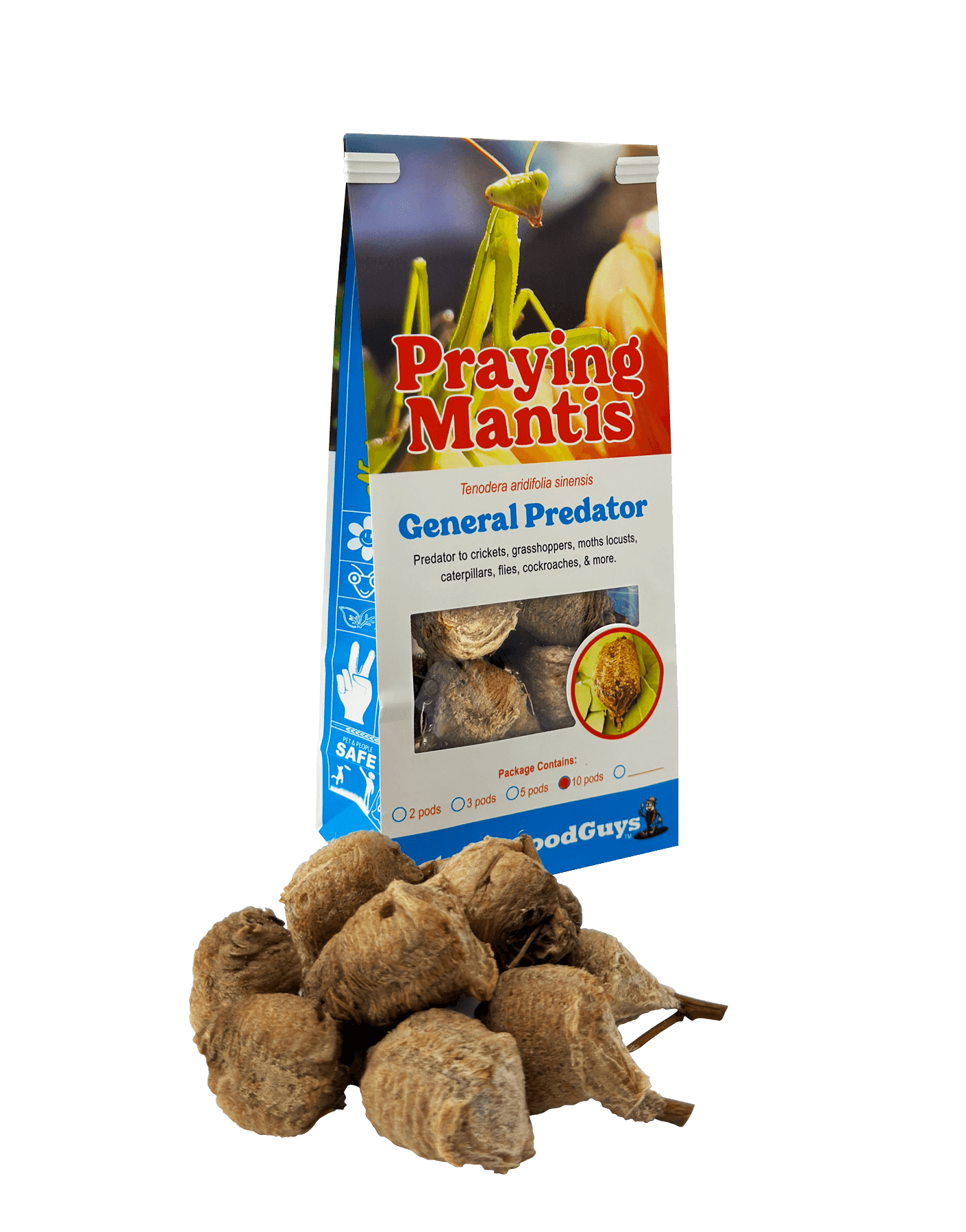 Praying Mantis Egg Cases 10 Egg Cases in Bag / No Ladybugs