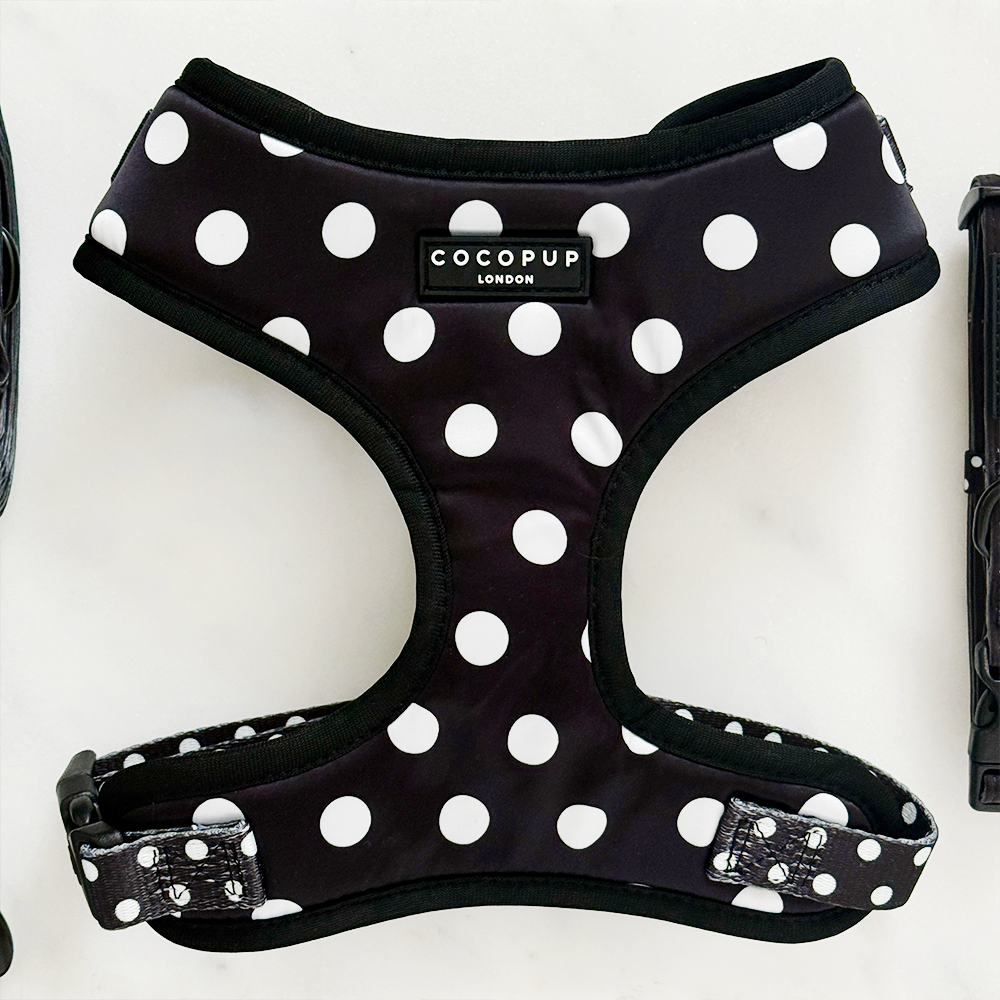 Adjustable Dog Harness product image 1