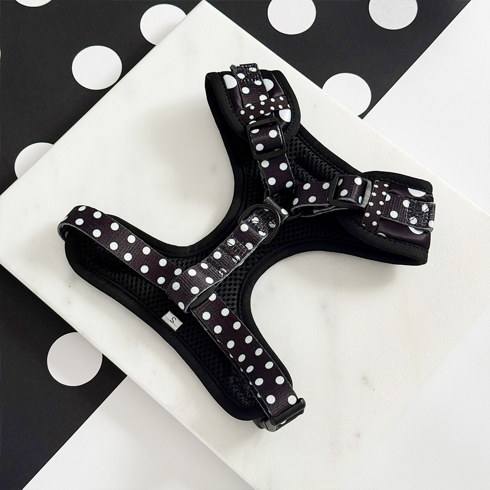 Adjustable Dog Harness product image 3