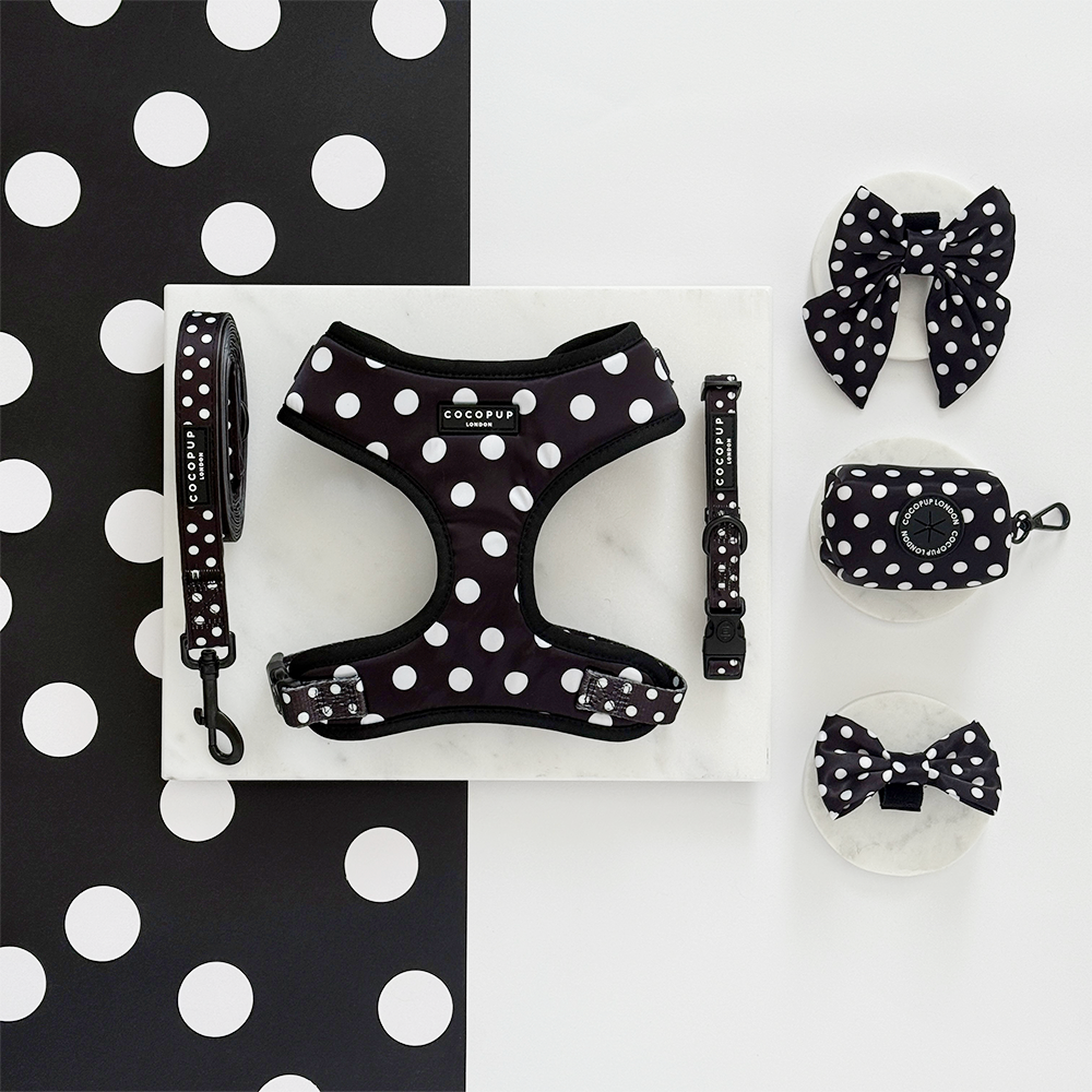 Adjustable Dog Harness product image 4