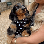 Adjustable Dog Harness product image 5