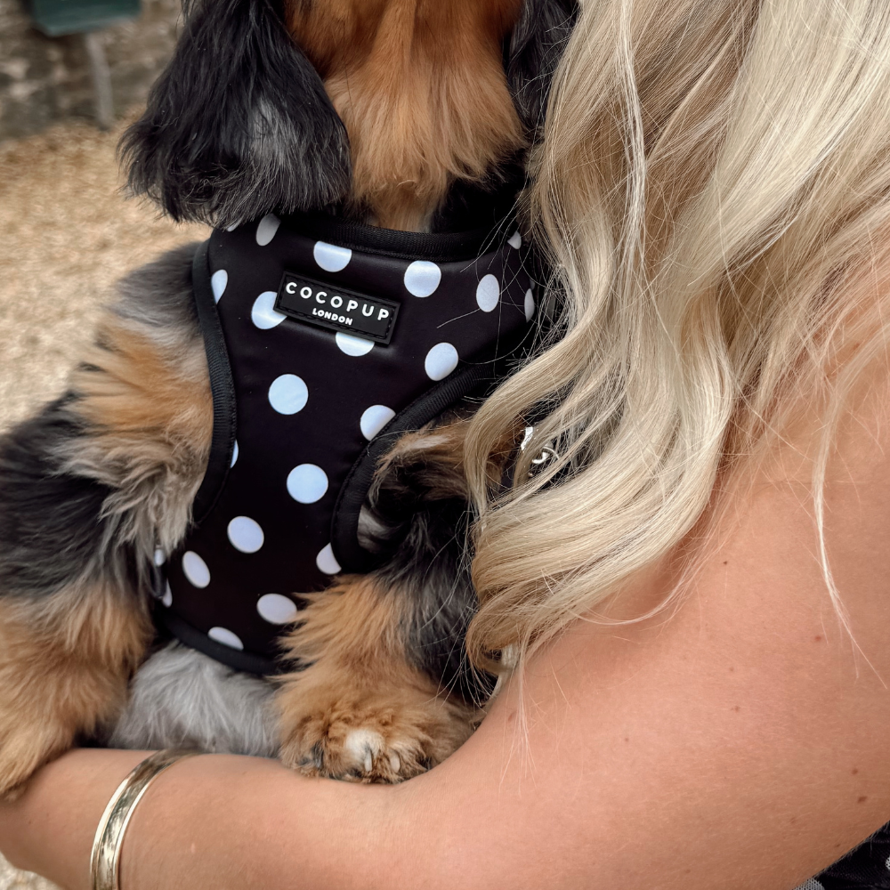 Adjustable Dog Harness product image 7
