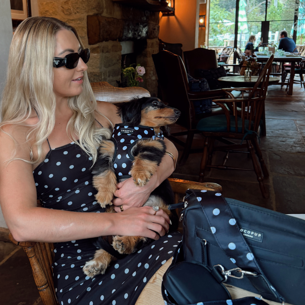 Adjustable Dog Harness product image 9