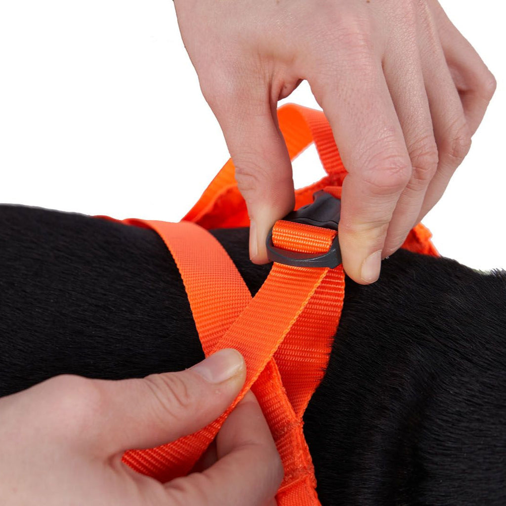 Dog Rescue Sling product image 6