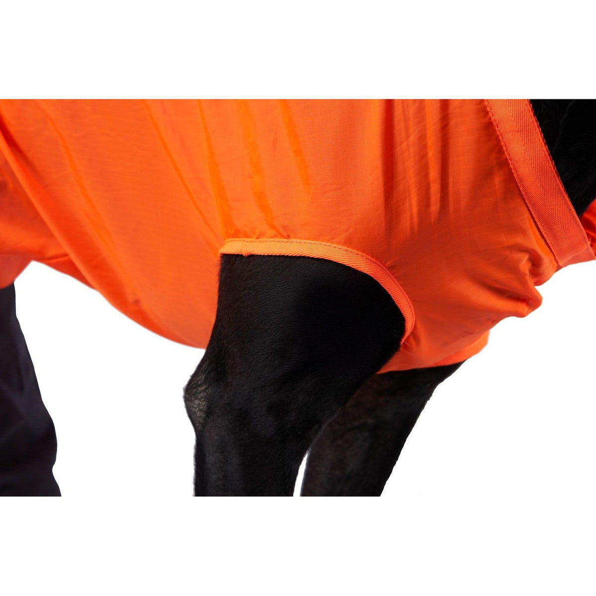 Dog Rescue Sling product image 10