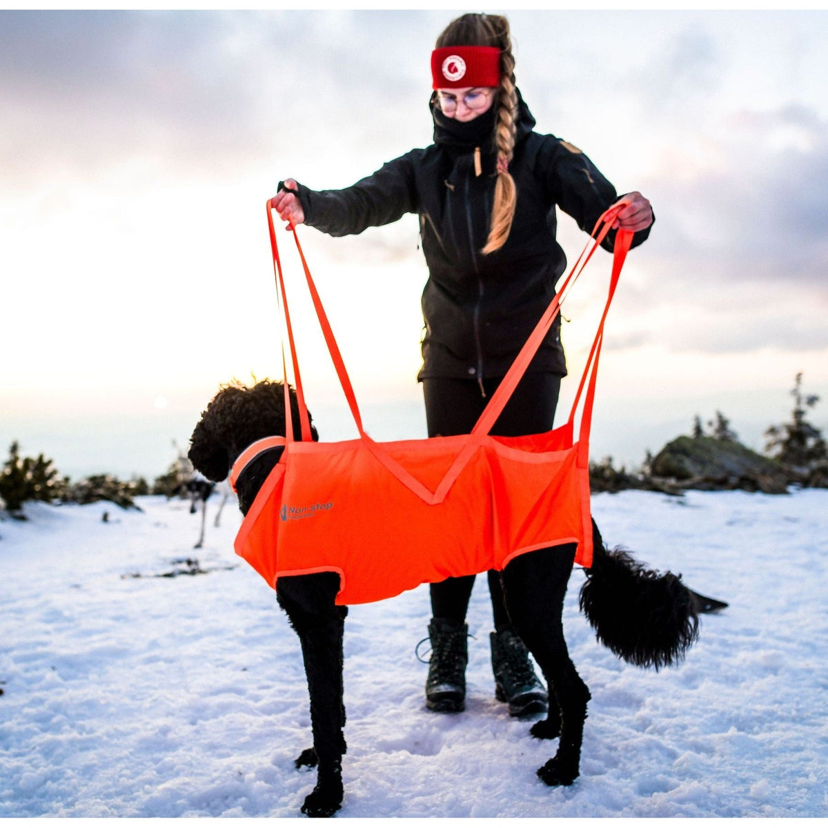 Dog Rescue Sling product image 12