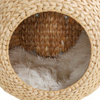 Wall-Mounted Cat Condo product image 10