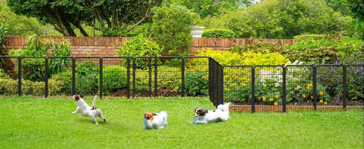Dog Playpen product image 24