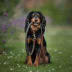 Rolled Dog Lead product image 1