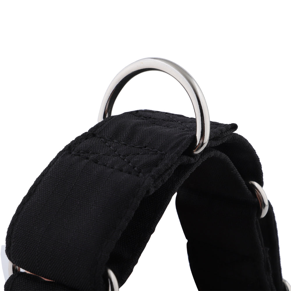 Martingale Collar product image 8