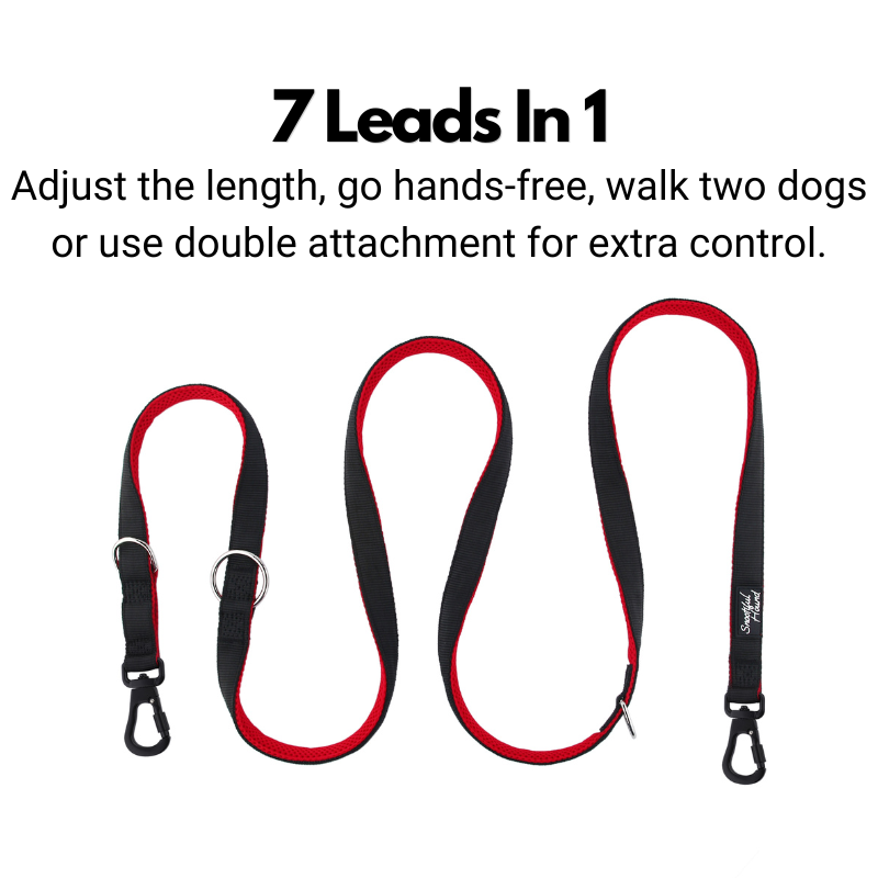Double Ended Dog Lead product image 2