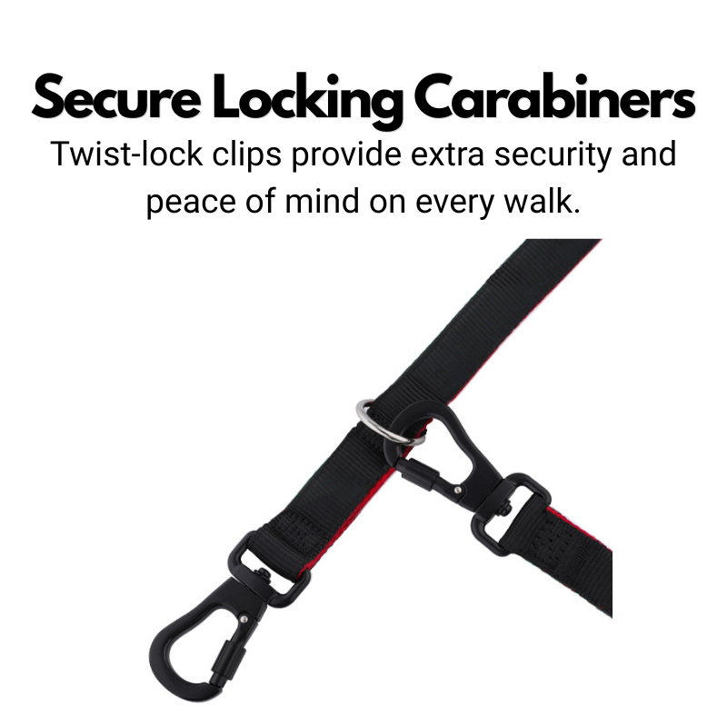 Double Ended Dog Lead product image 3
