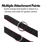 Double Ended Dog Lead product image 5
