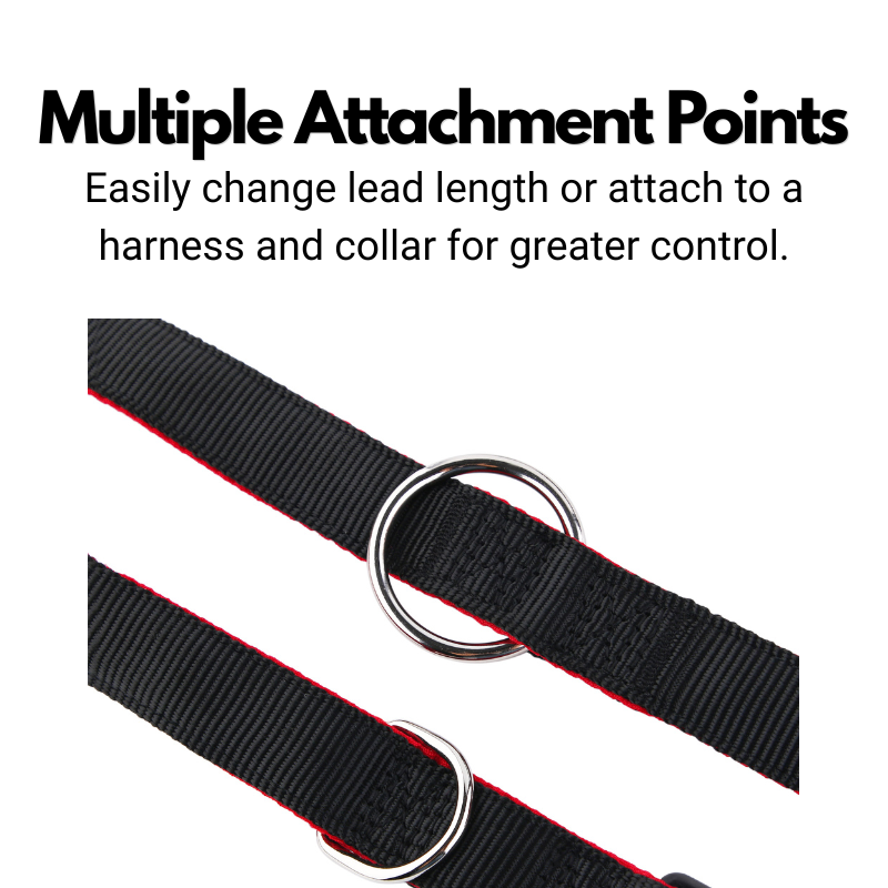 Double Ended Dog Lead product image 5