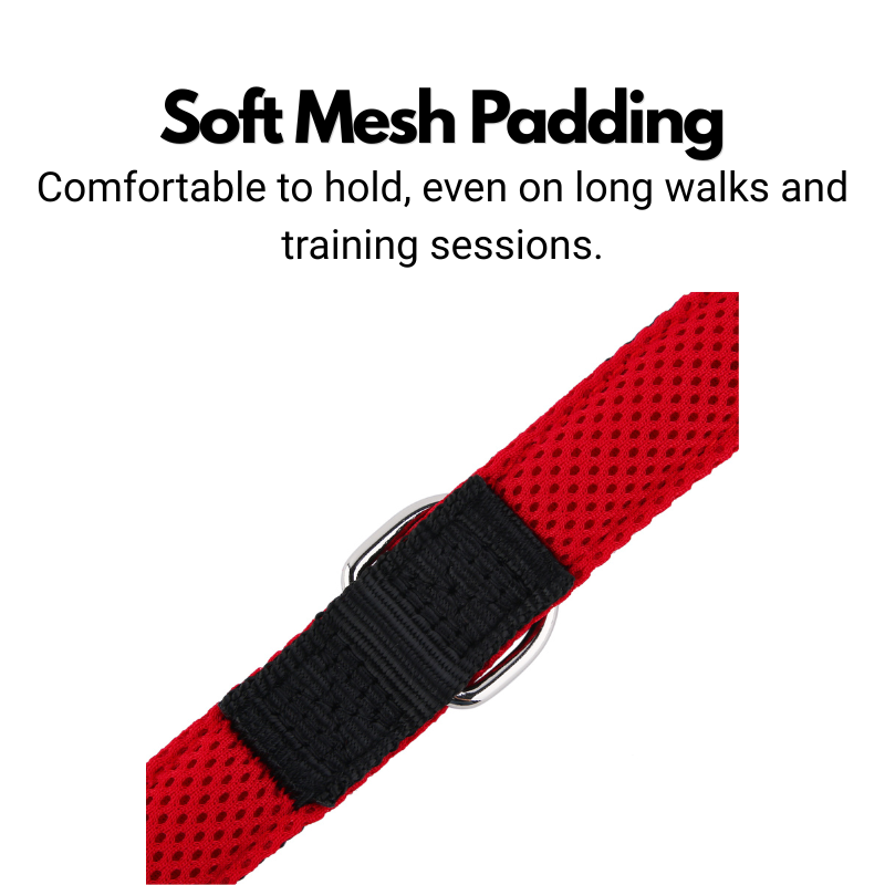 Double Ended Dog Lead product image 6
