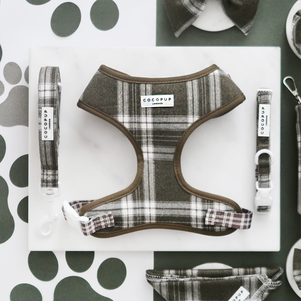 Adjustable Dog Harness product image 4