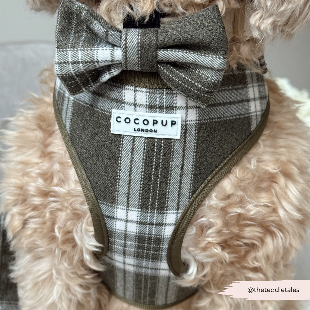 Adjustable Dog Harness product image 8