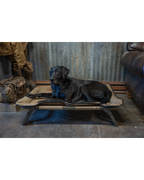 Elevated Dog Bed product image 6